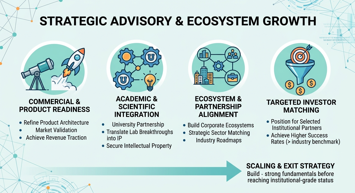 Strategic Advisory Beyond Traditional Venture Capital for Scale-Ups and Research Spin-Outs Caribbean